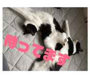 187313153