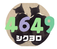 187313155