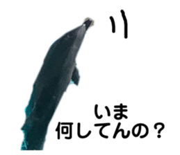 187321059