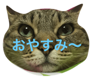 18732644