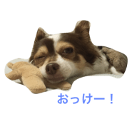 18732646