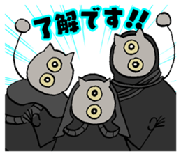 187331260