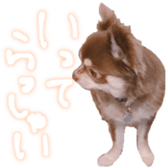 187449477