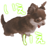 187449480