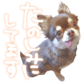 187449482