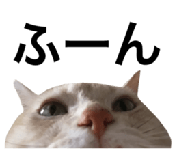 187583278