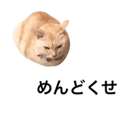 187583295