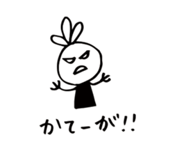 18762758