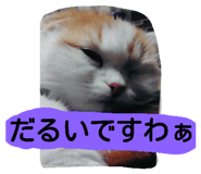 18770269