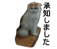 18770271
