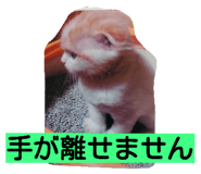 18770277