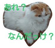 18770281
