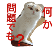 18770284