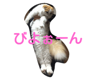 18770287