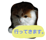 18770289