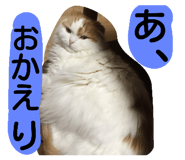 18770297