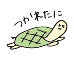 18774572