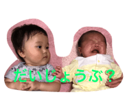 18774655