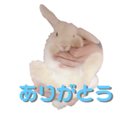 187753335