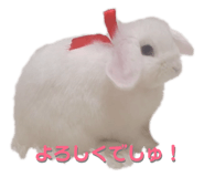 187753342