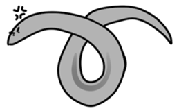 187795527