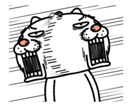 187797017