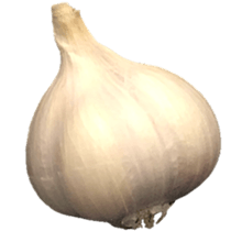 187801496