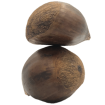 187801502