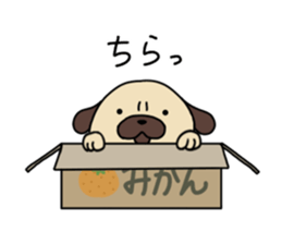 188010134