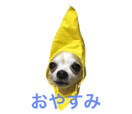 18801369