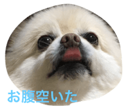 18801370