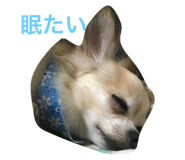 18801371