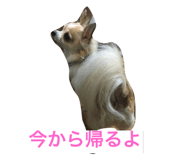 18801372