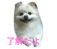18801374