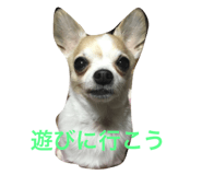18801375