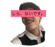 18806377