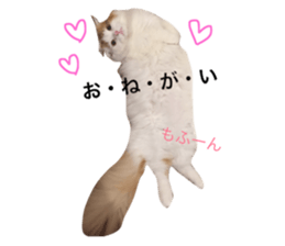 18816942
