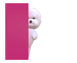 188203490