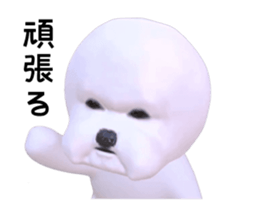 188203493