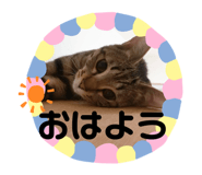 188298147