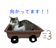188298165