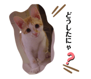 188470141