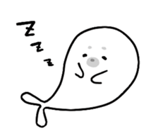 18849507