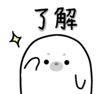 18849509