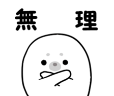 18849517