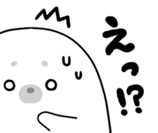18849520