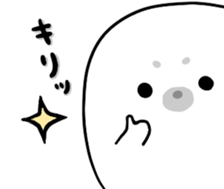 18849526