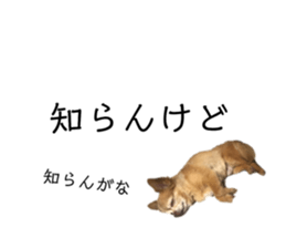 188513027