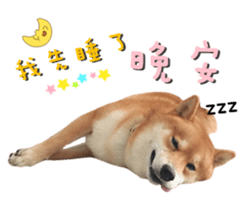 18853306