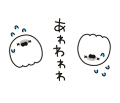 18892506
